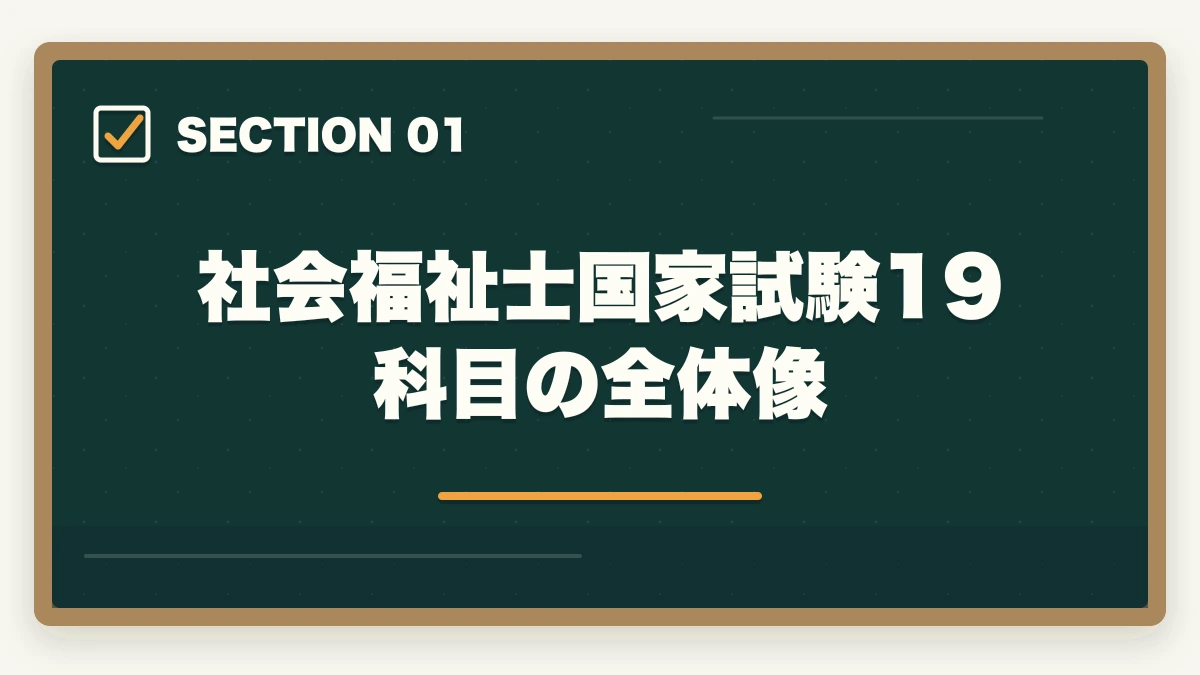 社会福祉士国家試験19科目の全体像｜社会福祉士19科目の攻略法|10年介護経験者が共通11科目+専門8科目の優先順位を完全解説の図解