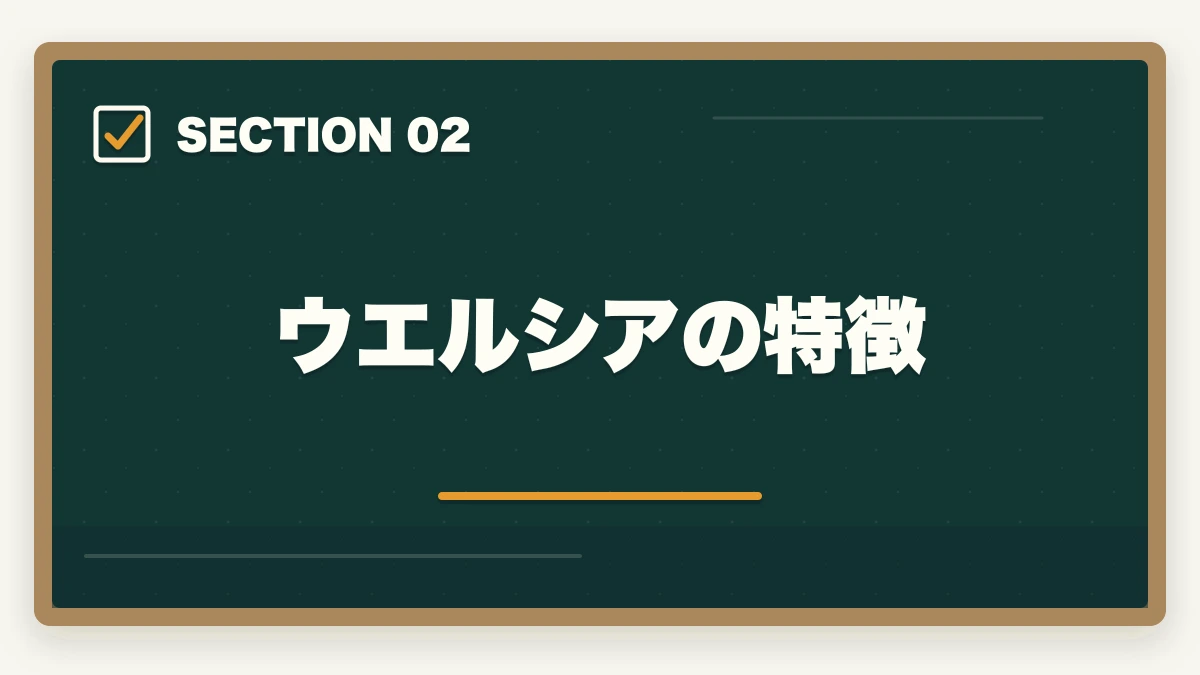 ウエルシアの特徴｜登録販売者のドラッグストア大手3社比較|マツキヨ・ウエルシア・ツルハの違いと選び方の図解
