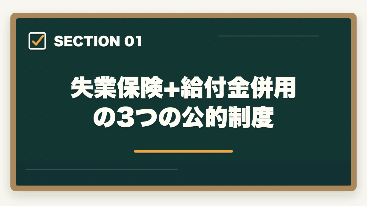 失業保険+給付金併用の3つの公的制度｜初任者研修と給付金・失業保険の併用完全ガイドの図解