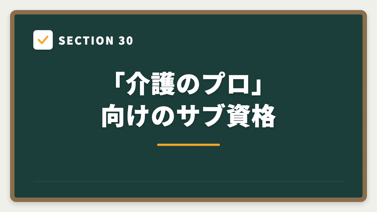 SECTION 30 「介護のプロ」向けのサブ資格