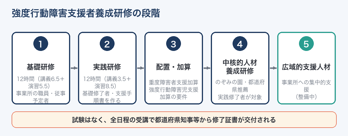 強度行動障害支援者養成研修の段階（基礎研修12時間→実践研修12時間→配置・加算→中核的人材養成研修→広域的支援人材）